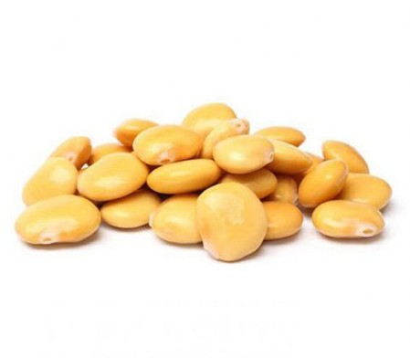 Lupini